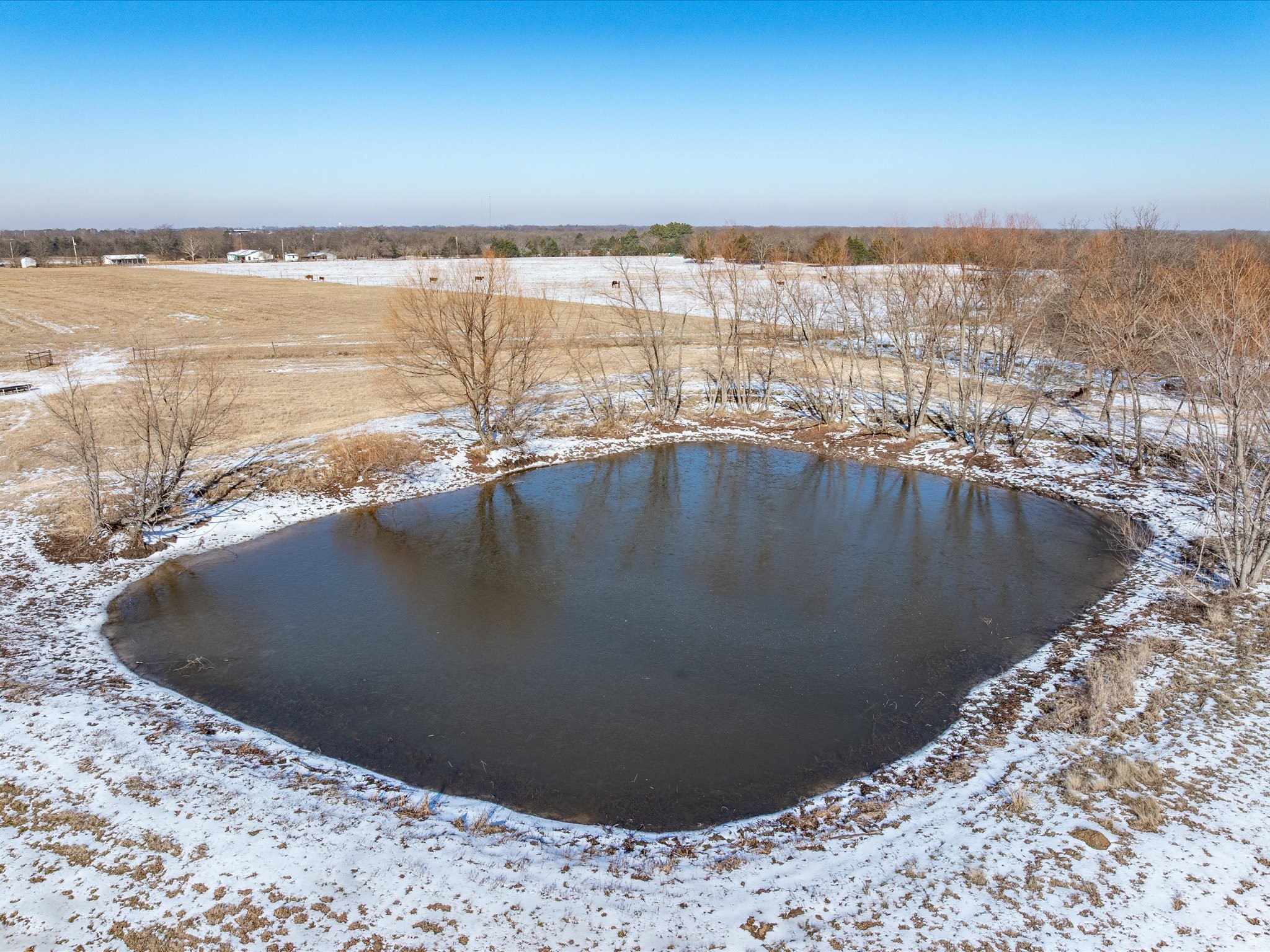 Lot 3 Rs County Road 4330 Point TX 75472