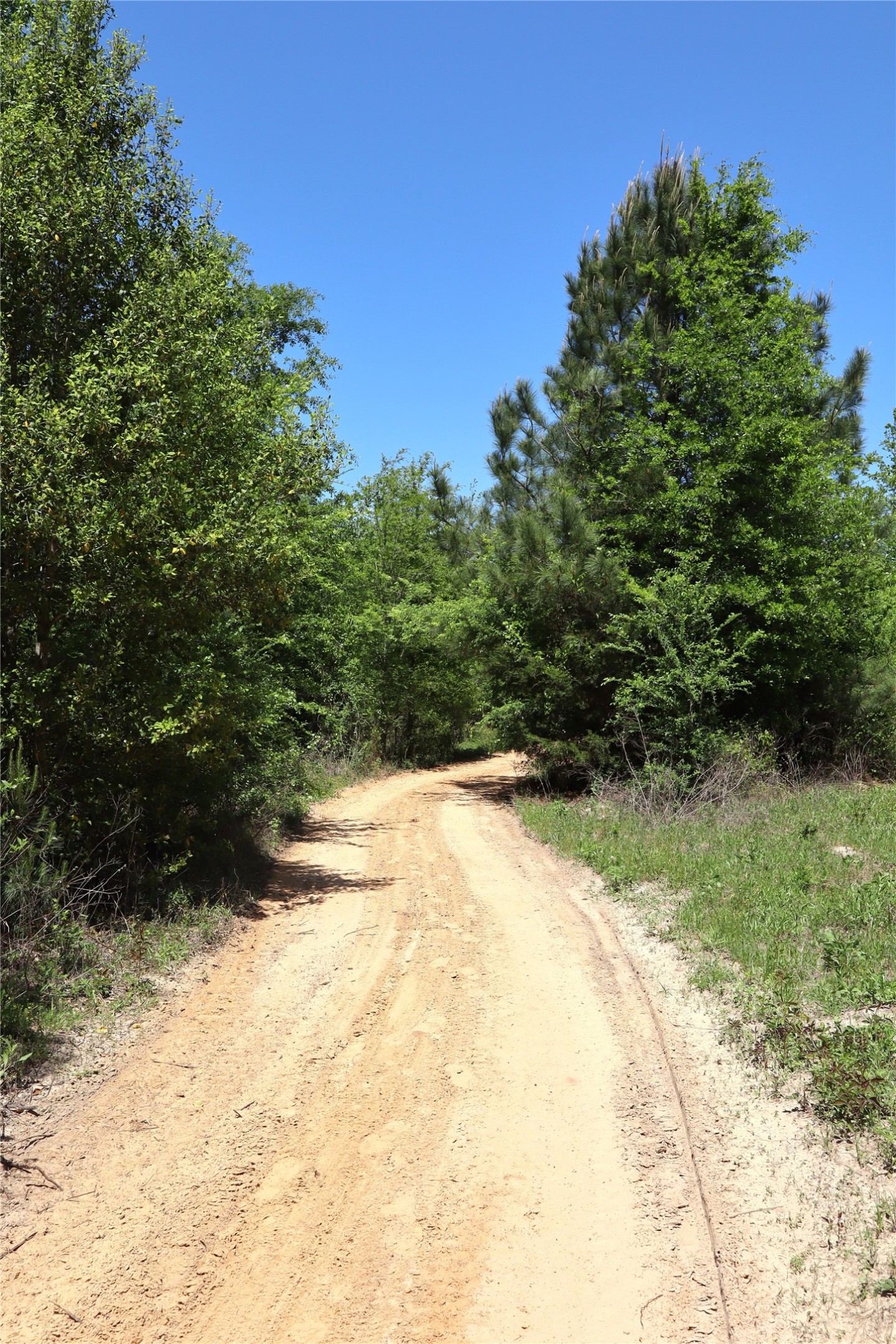 1140 Lot 2 Cr-3412 Chandler TX 75758