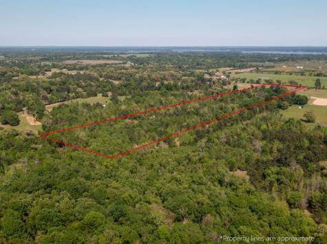 1140 Lot 2 Cr-3412 Chandler TX 75758