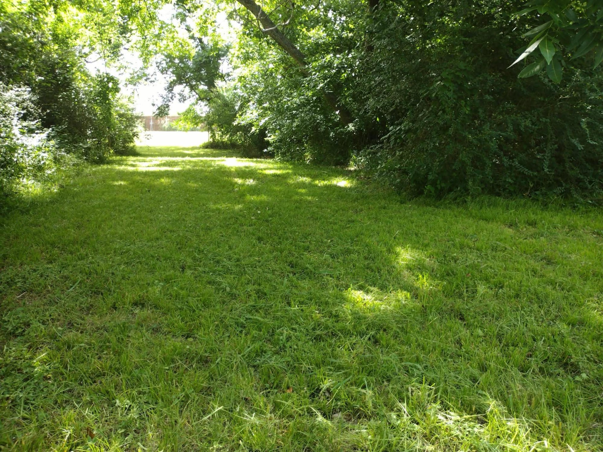 000 N San Jacinto Terrell TX 75160