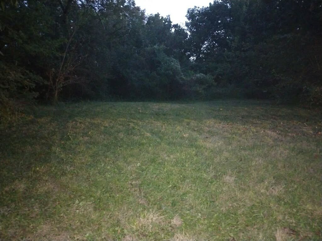 000 N San Jacinto Terrell TX 75160