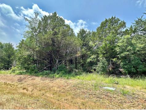 143 Whispering Pine Drive Gordonville TX 76245