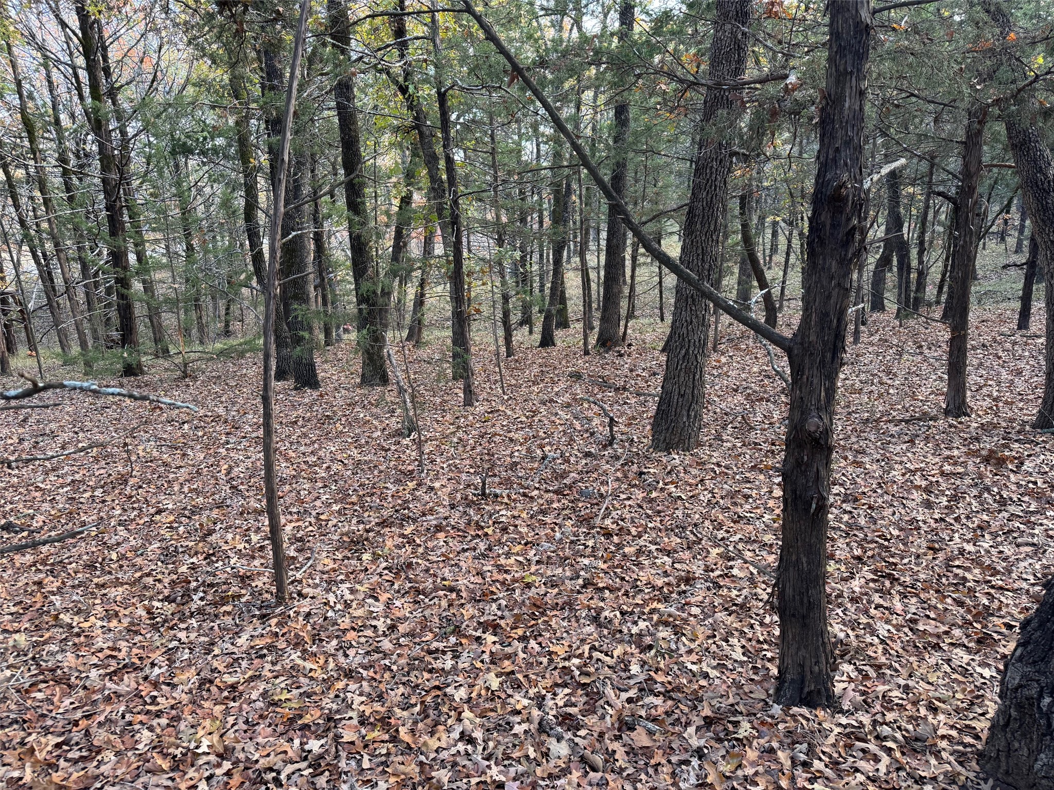 Lot 15b Forest Lakes Drive Gordonville TX 76245