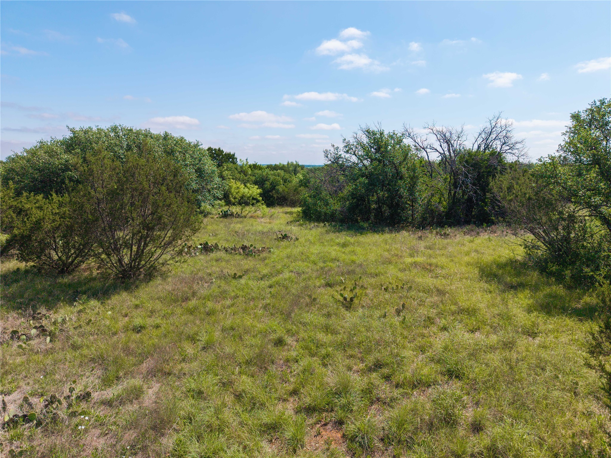1448 County Road 121 Santa Anna TX 76878