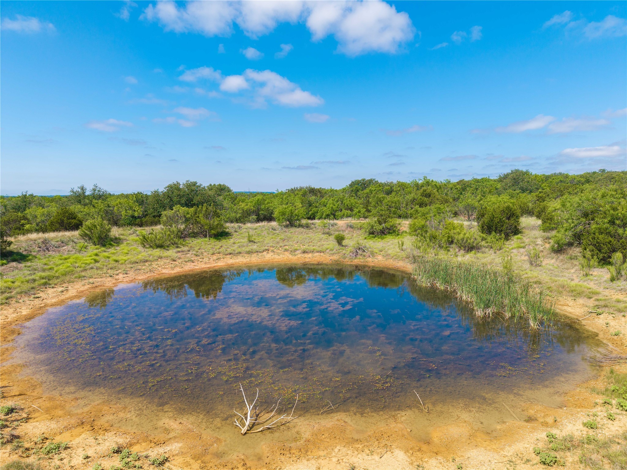 1448 County Road 121 Santa Anna TX 76878