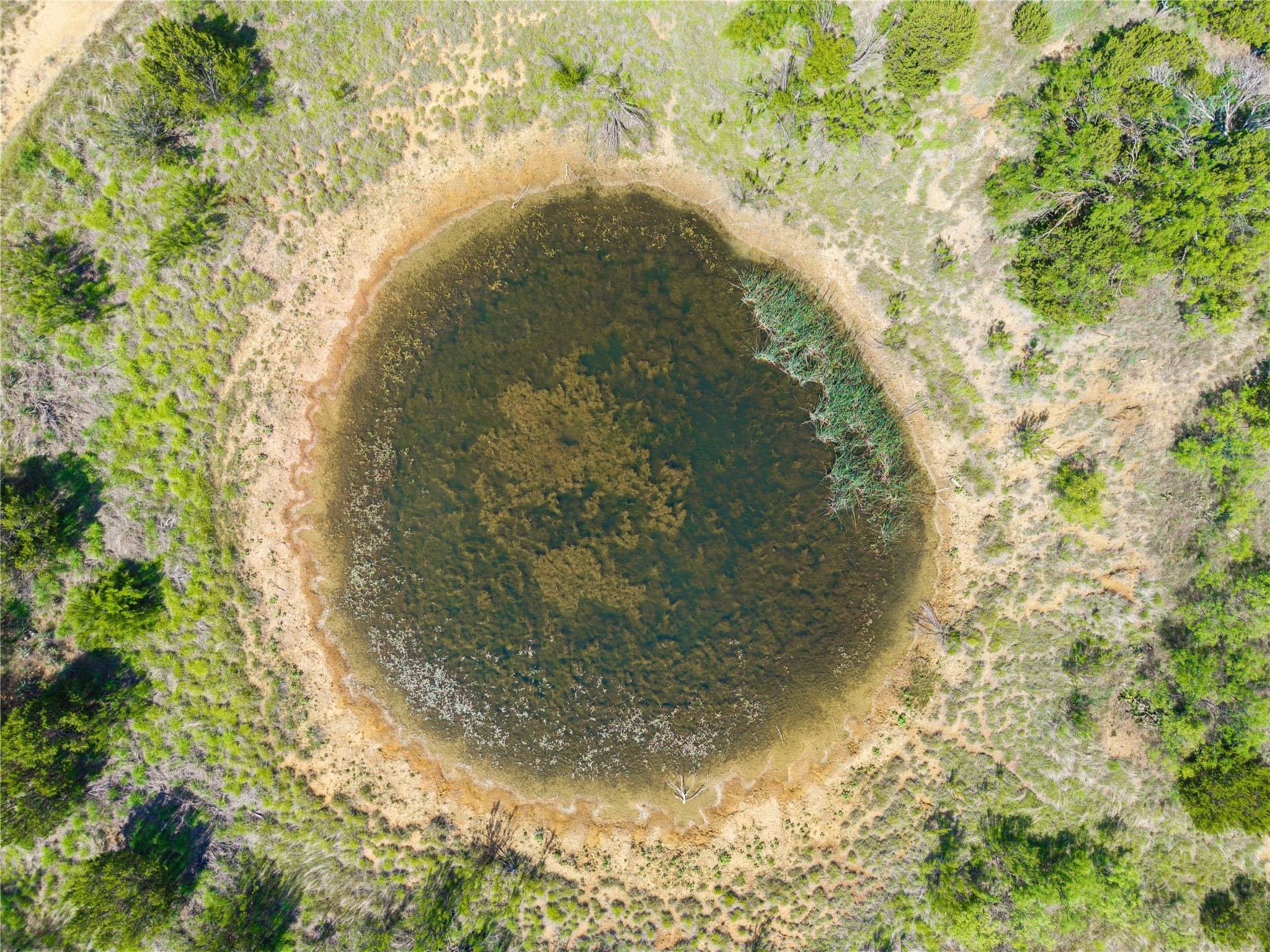 1448 County Road 121 Santa Anna TX 76878