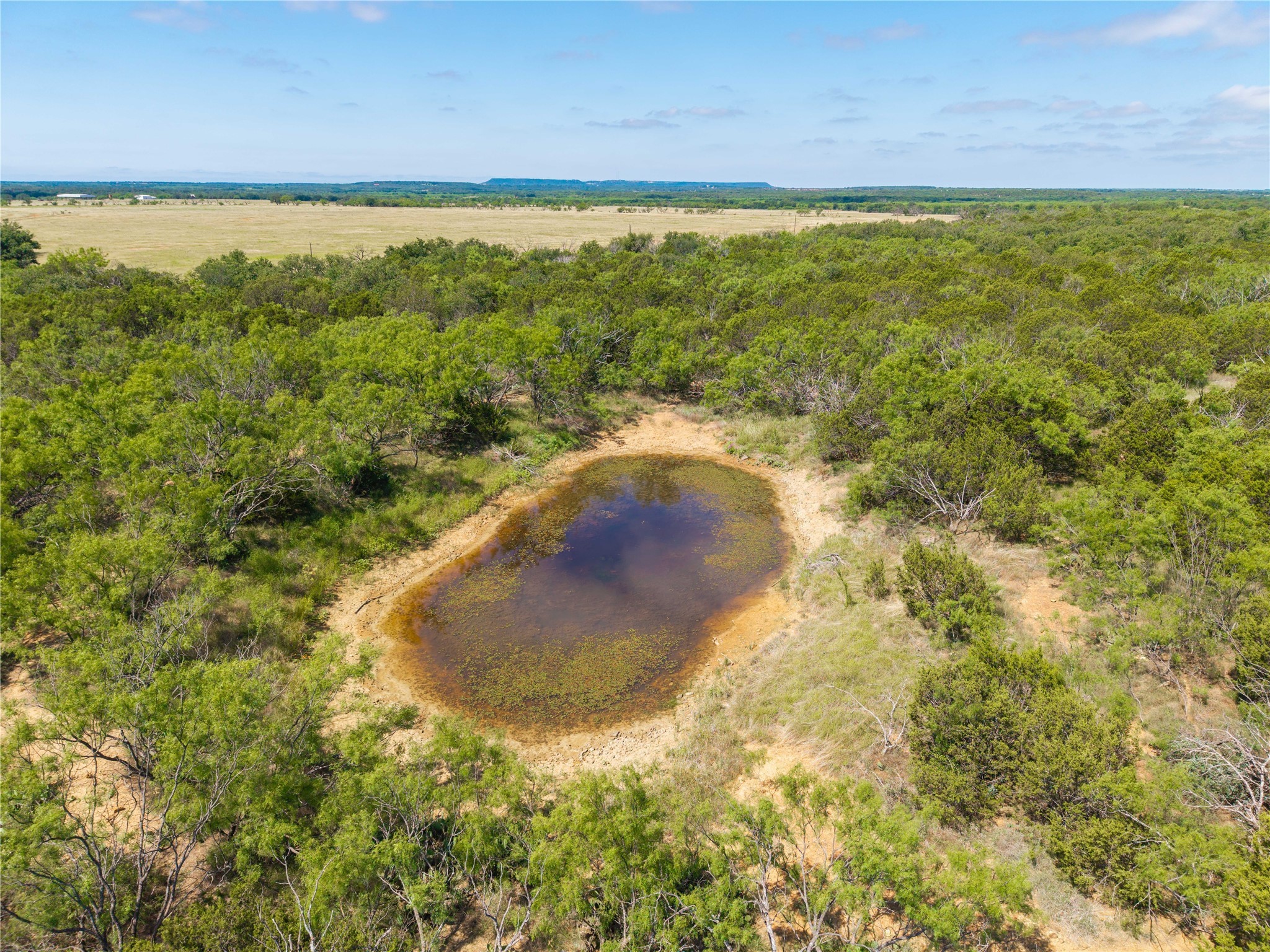 1448 County Road 121 Santa Anna TX 76878