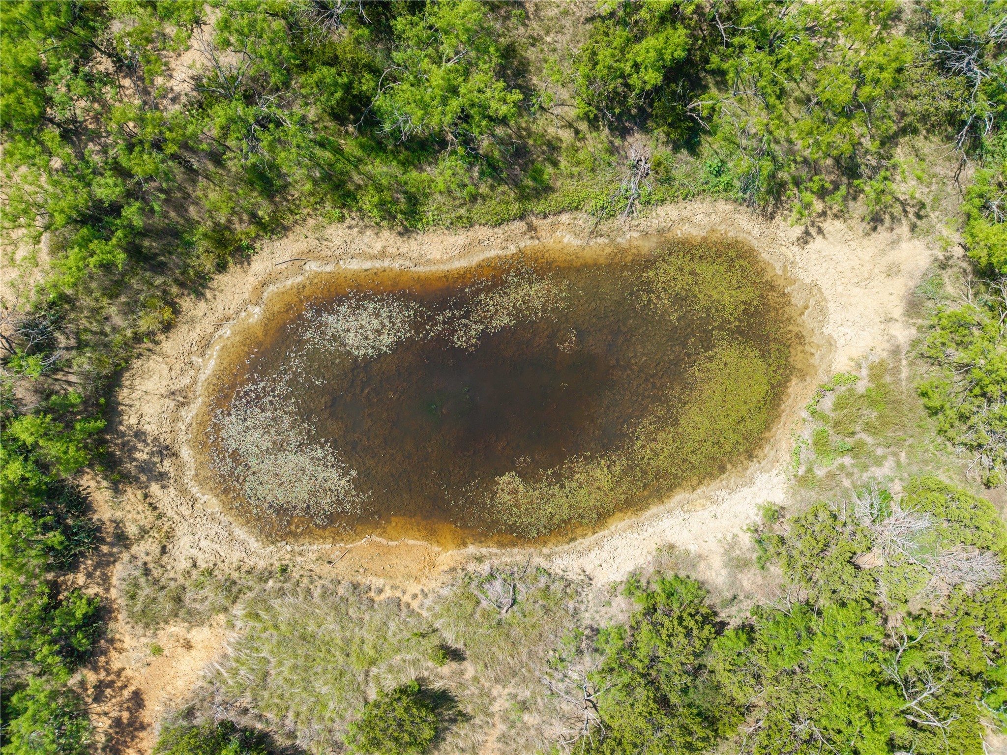 1448 County Road 121 Santa Anna TX 76878