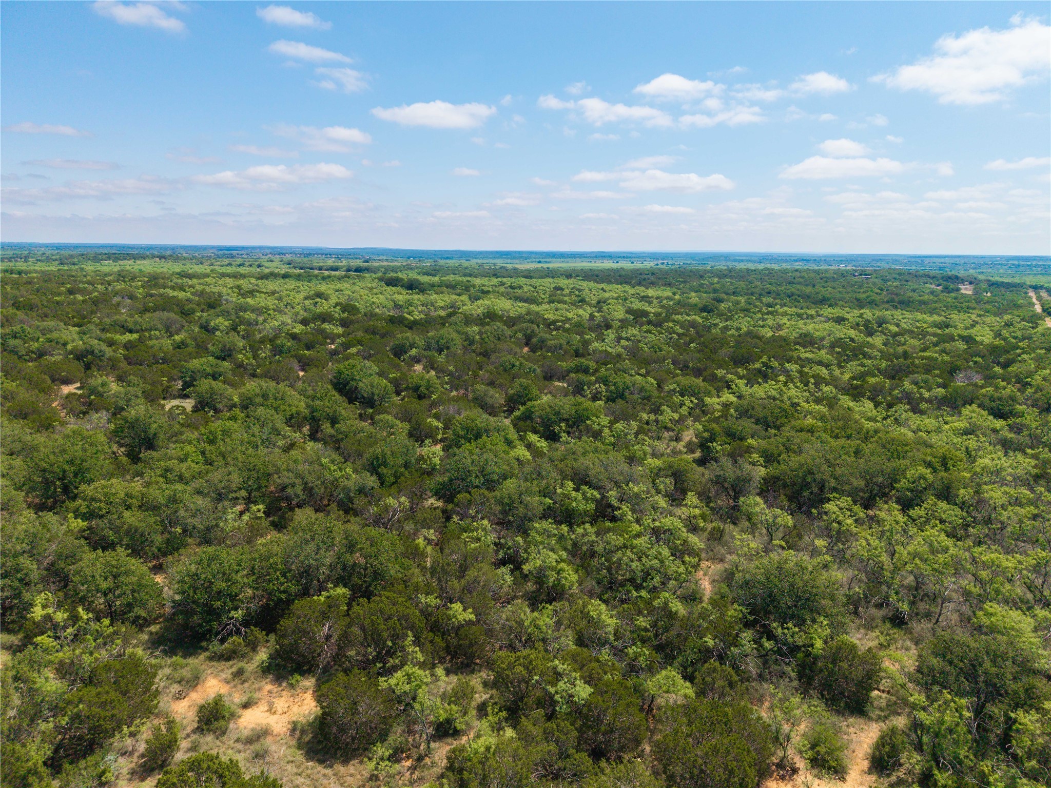 1448 County Road 121 Santa Anna TX 76878