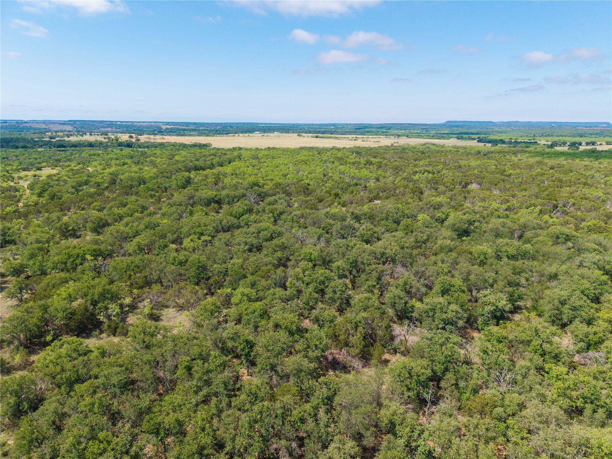 1448 County Road 121 Santa Anna TX 76878