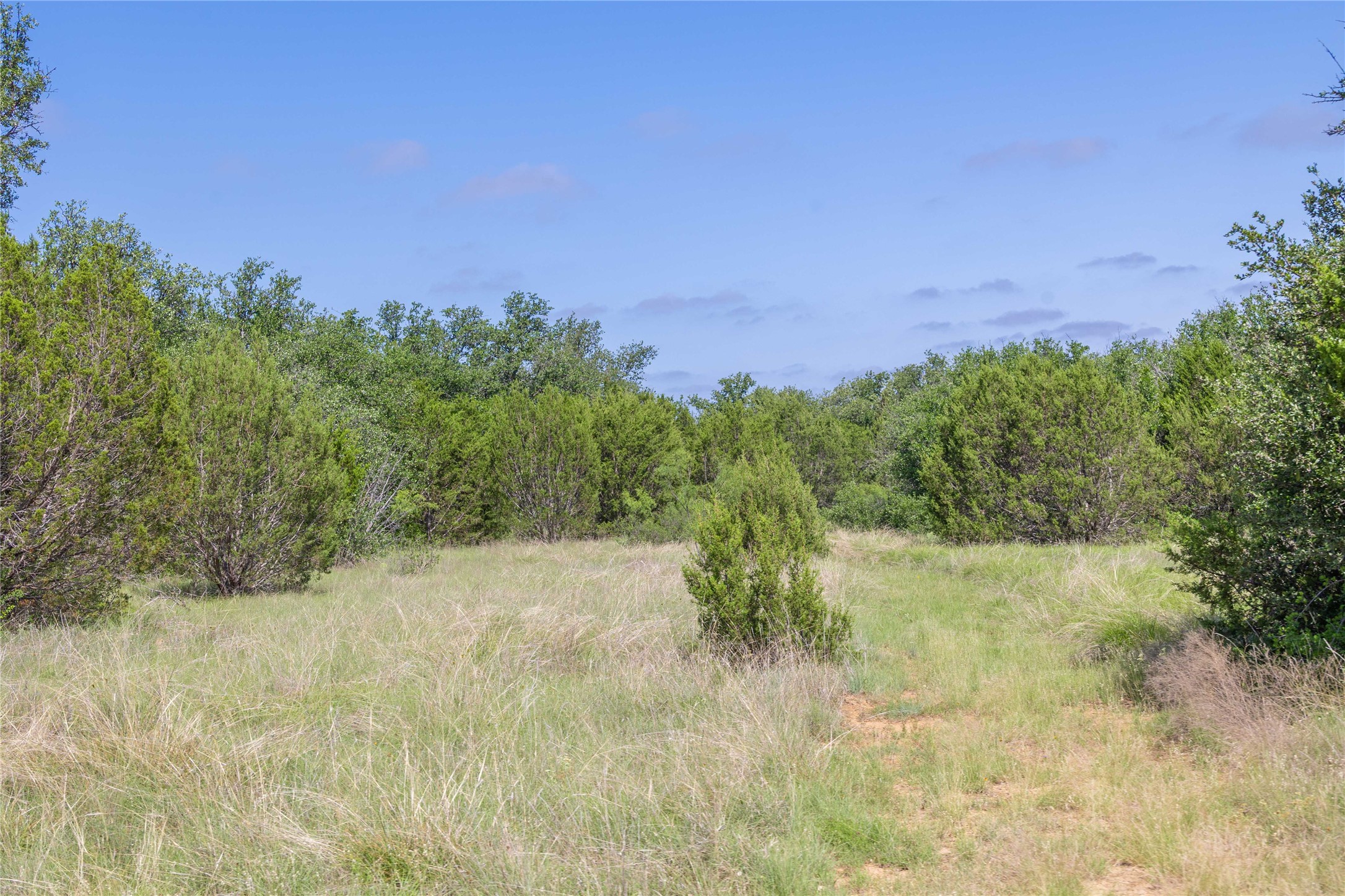 1448 County Road 121 Santa Anna TX 76878