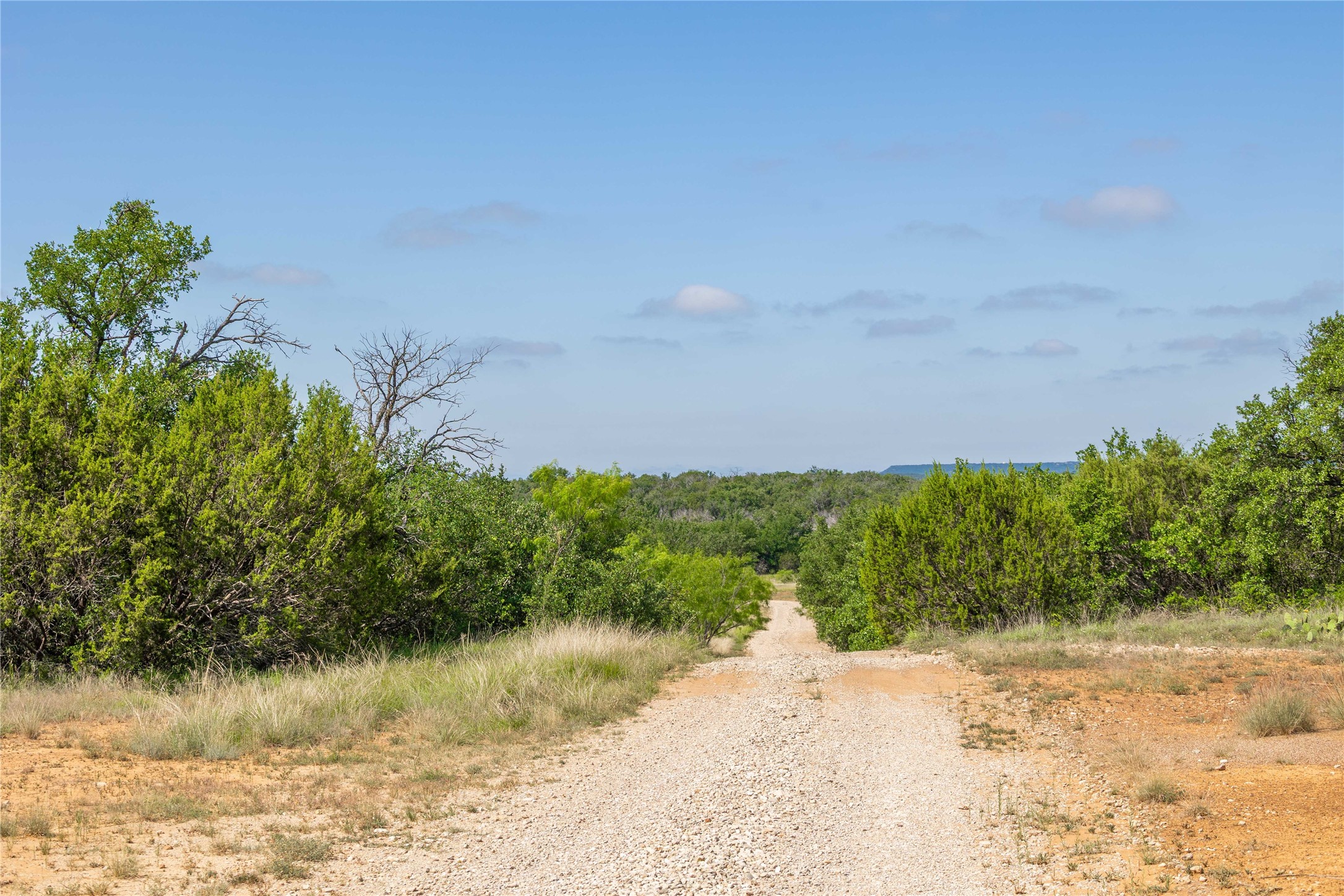 1448 County Road 121 Santa Anna TX 76878