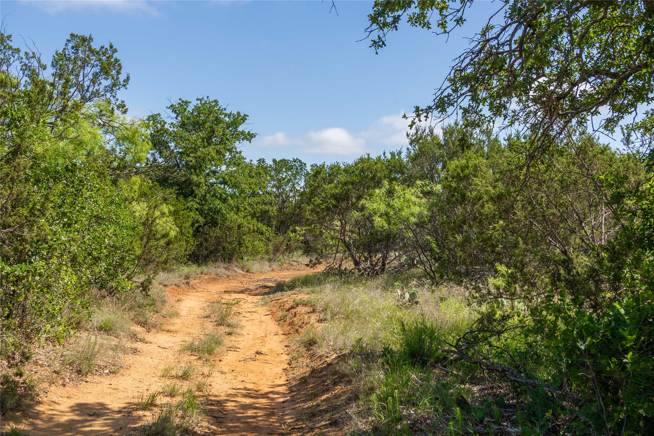 1448 County Road 121 Santa Anna TX 76878