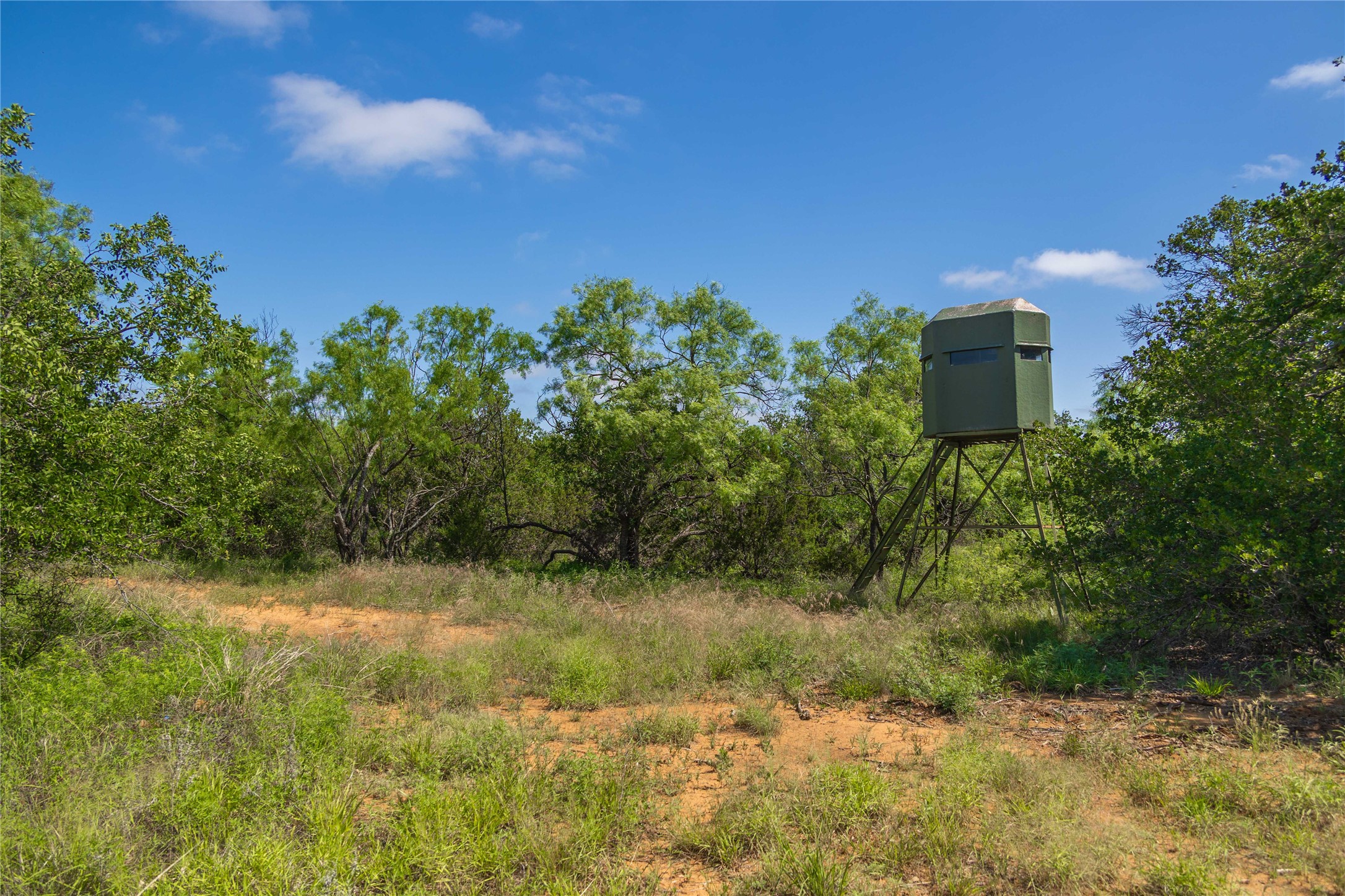 1448 County Road 121 Santa Anna TX 76878