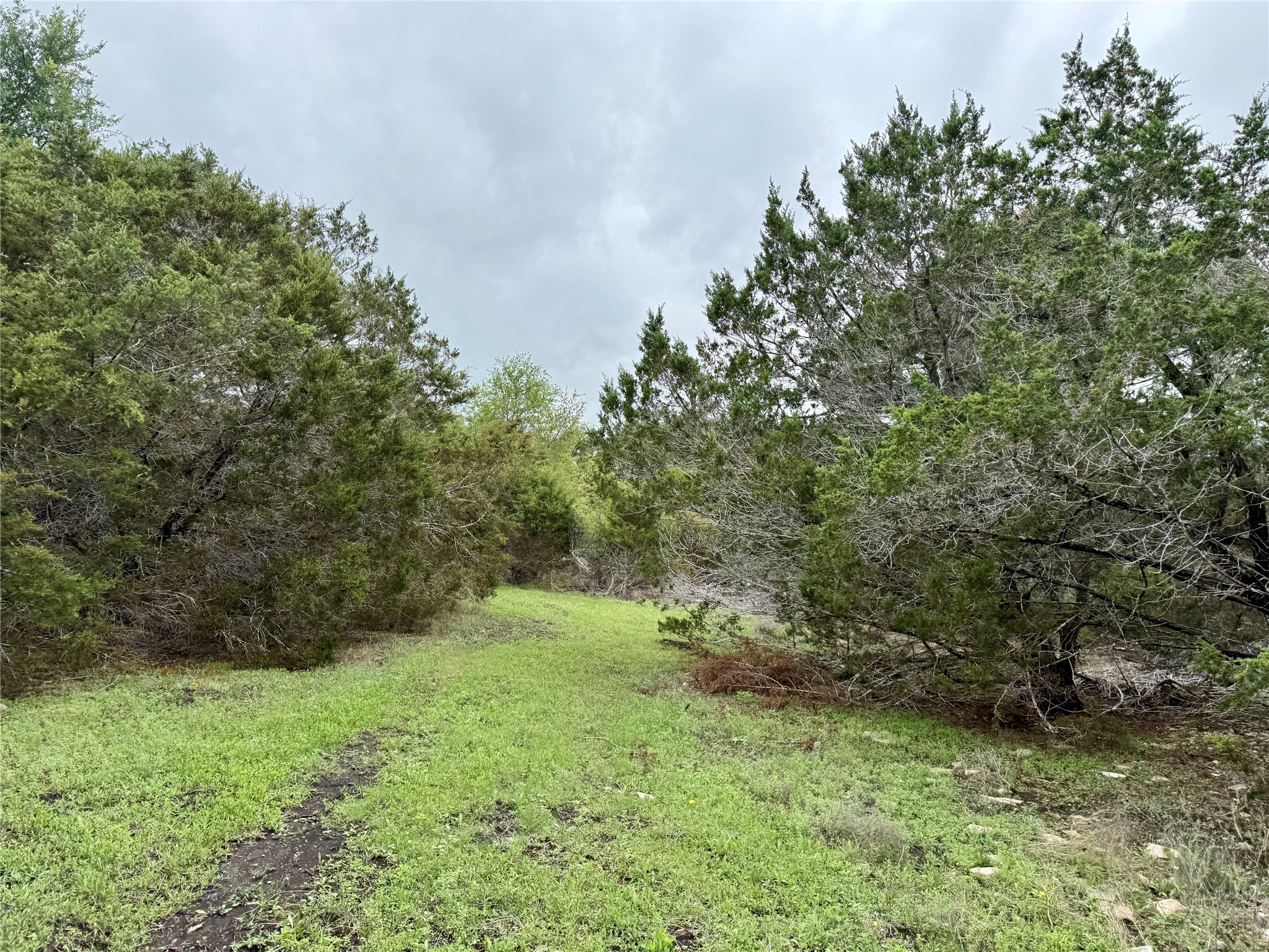 903 County Road 112 Burnet TX 78611