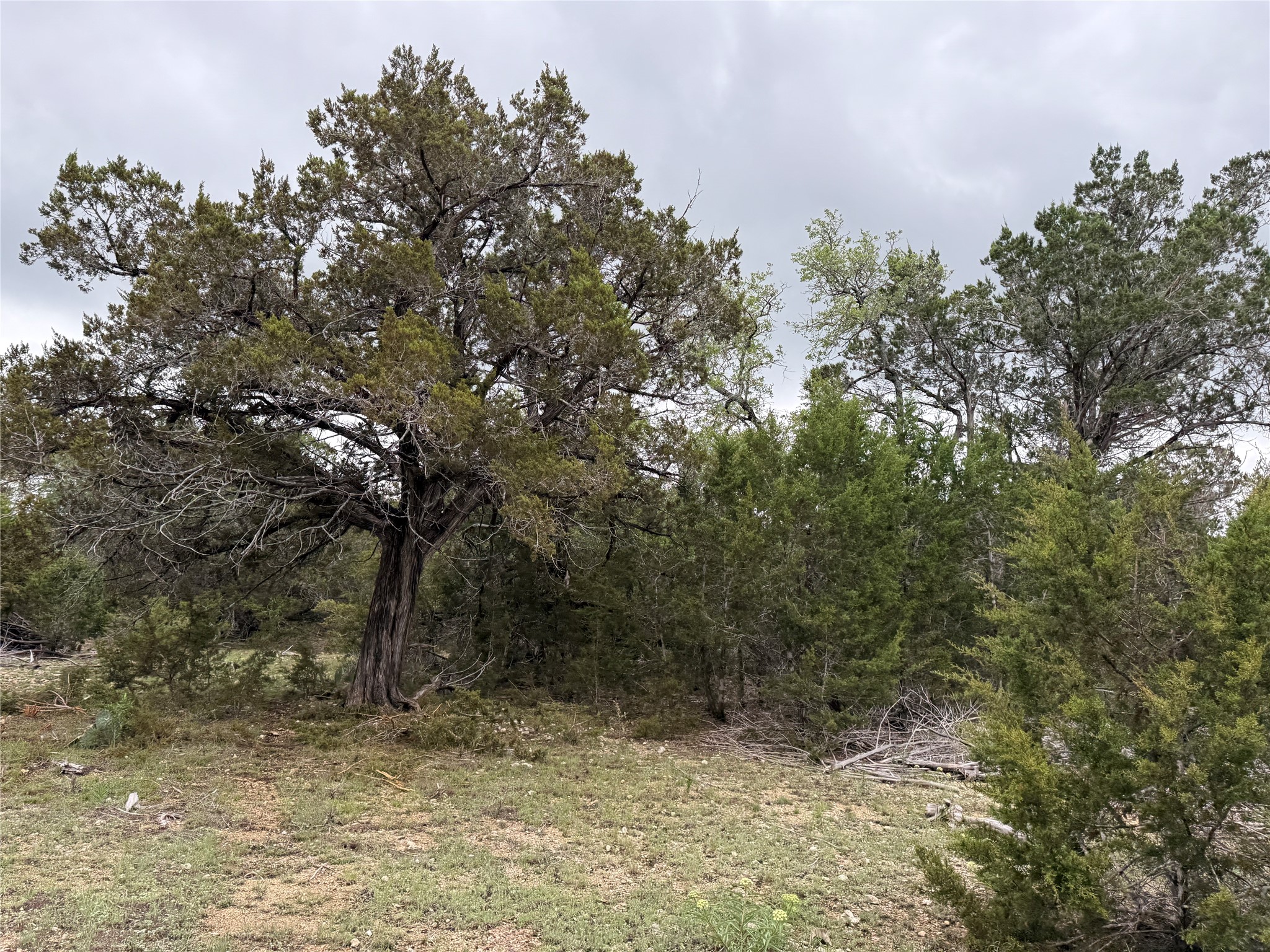 903 County Road 112 Burnet TX 78611