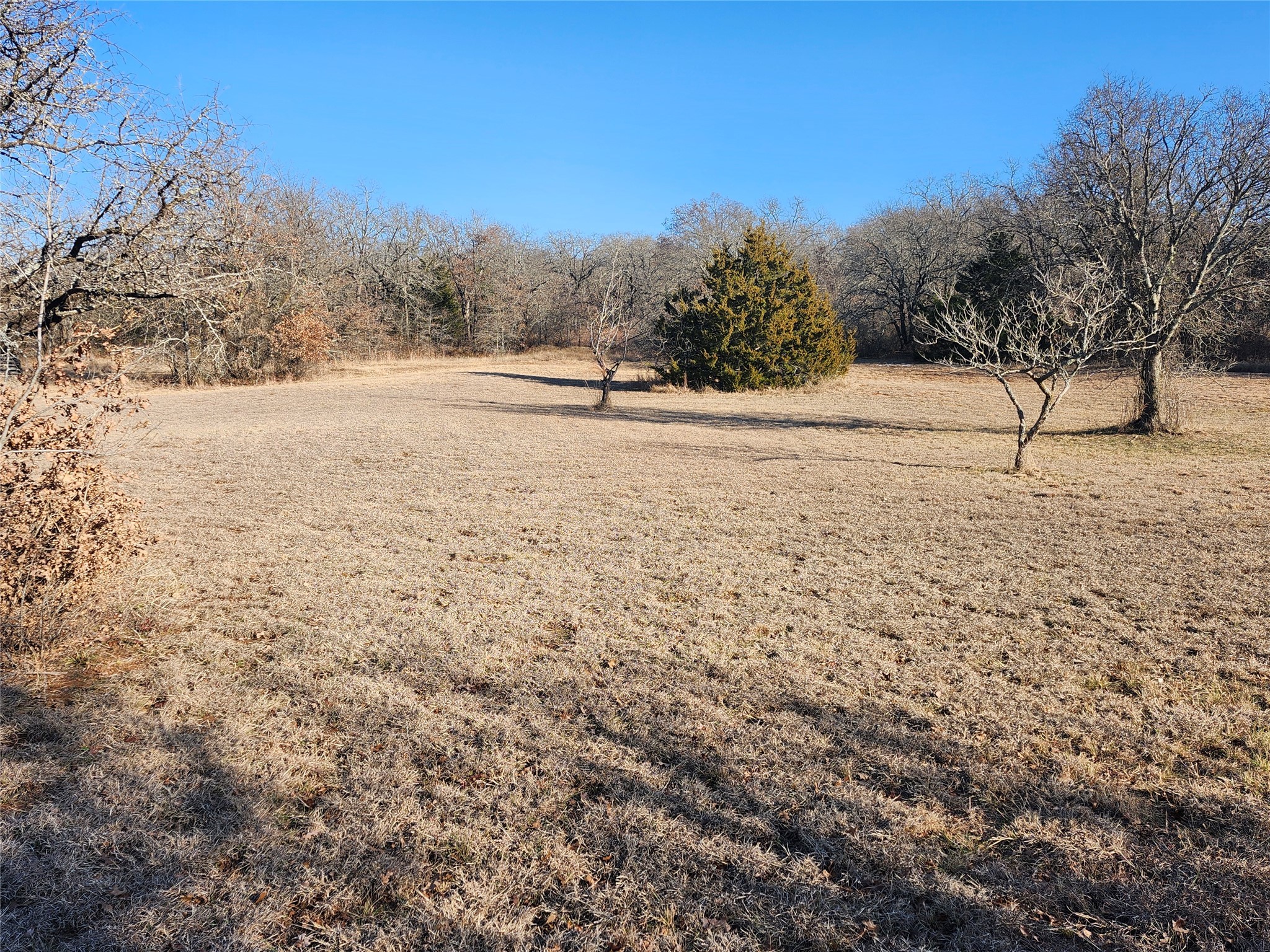250 Nocona Drive Nocona TX 76255