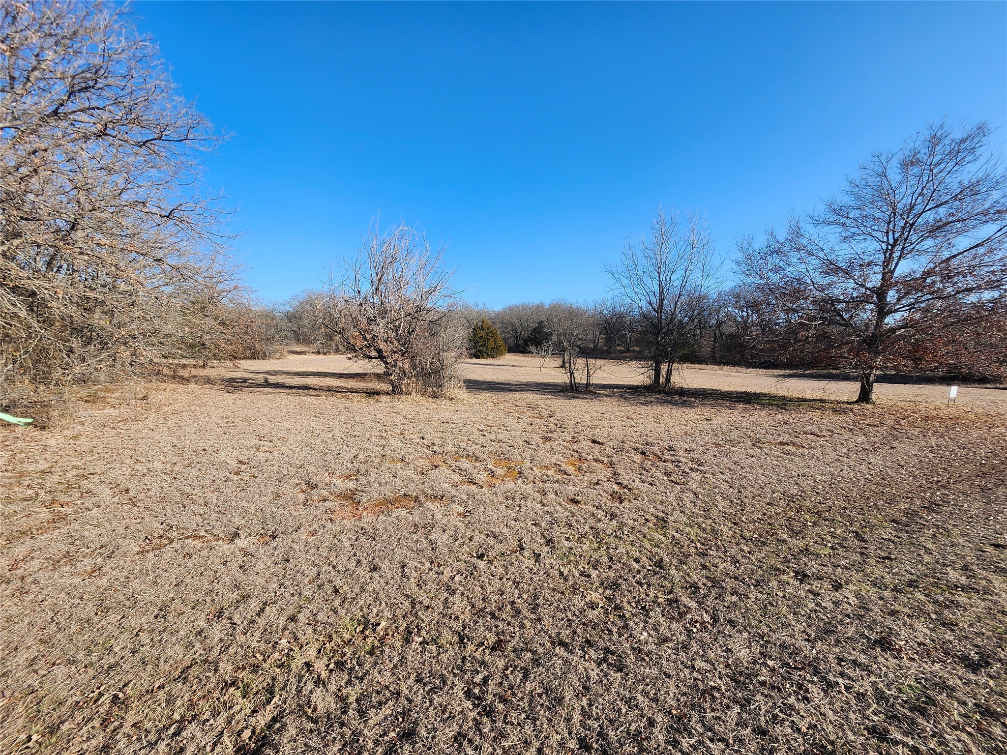 250 Nocona Drive Nocona TX 76255