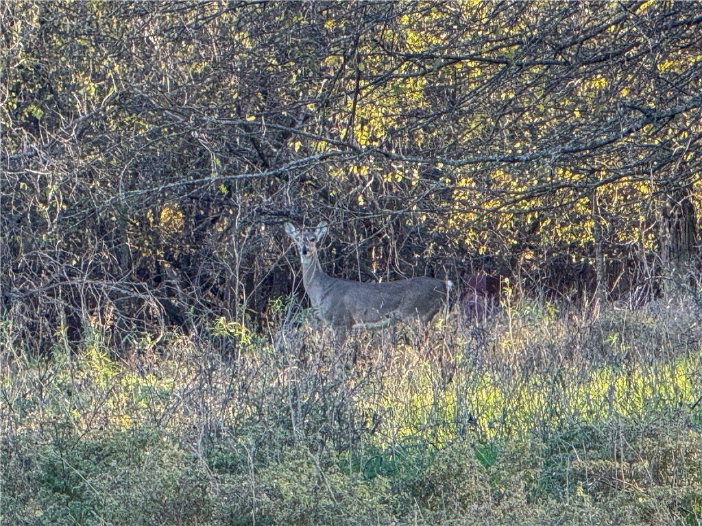 Tbd Tract 8 Talbert Ranch Road China Spring TX 76633