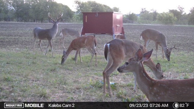 Tbd Tract 8 Talbert Ranch Road China Spring TX 76633