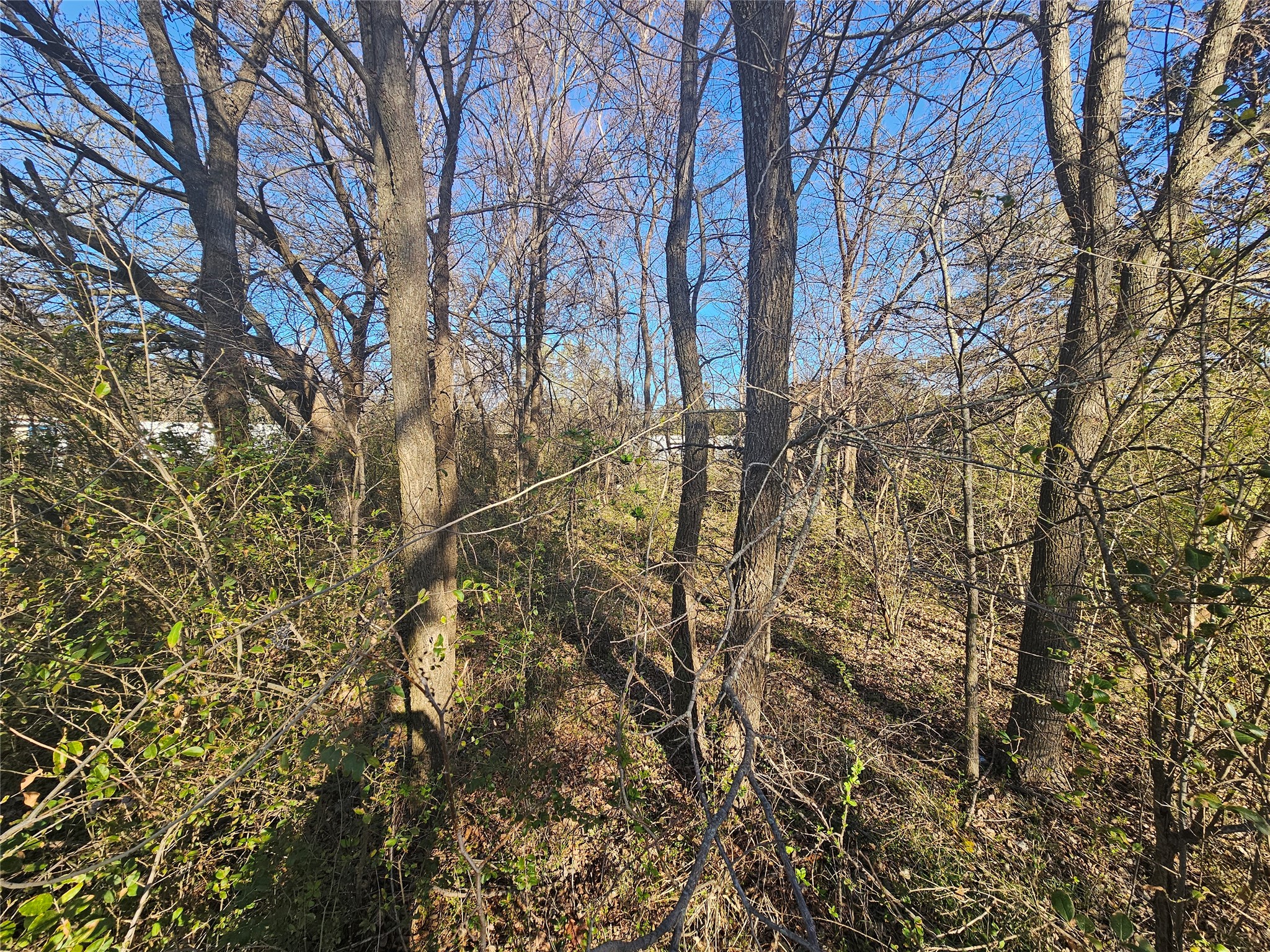Lots 536 & 537 Choctaw Drive Gordonville TX 76245