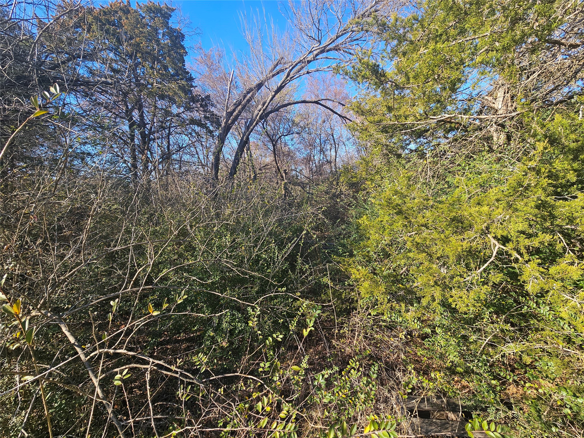 Lots 536 & 537 Choctaw Drive Gordonville TX 76245