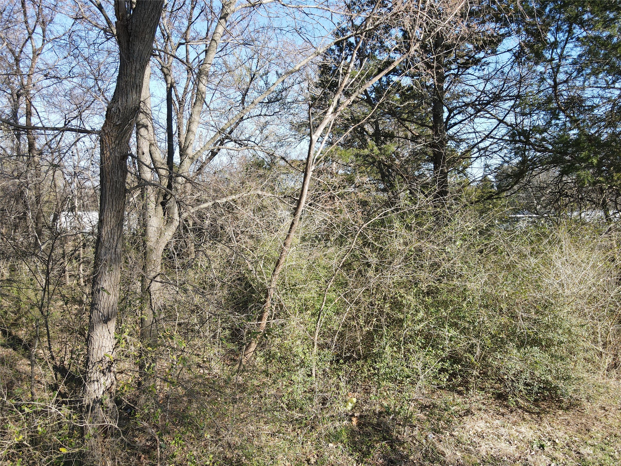 Lots 536 & 537 Choctaw Drive Gordonville TX 76245