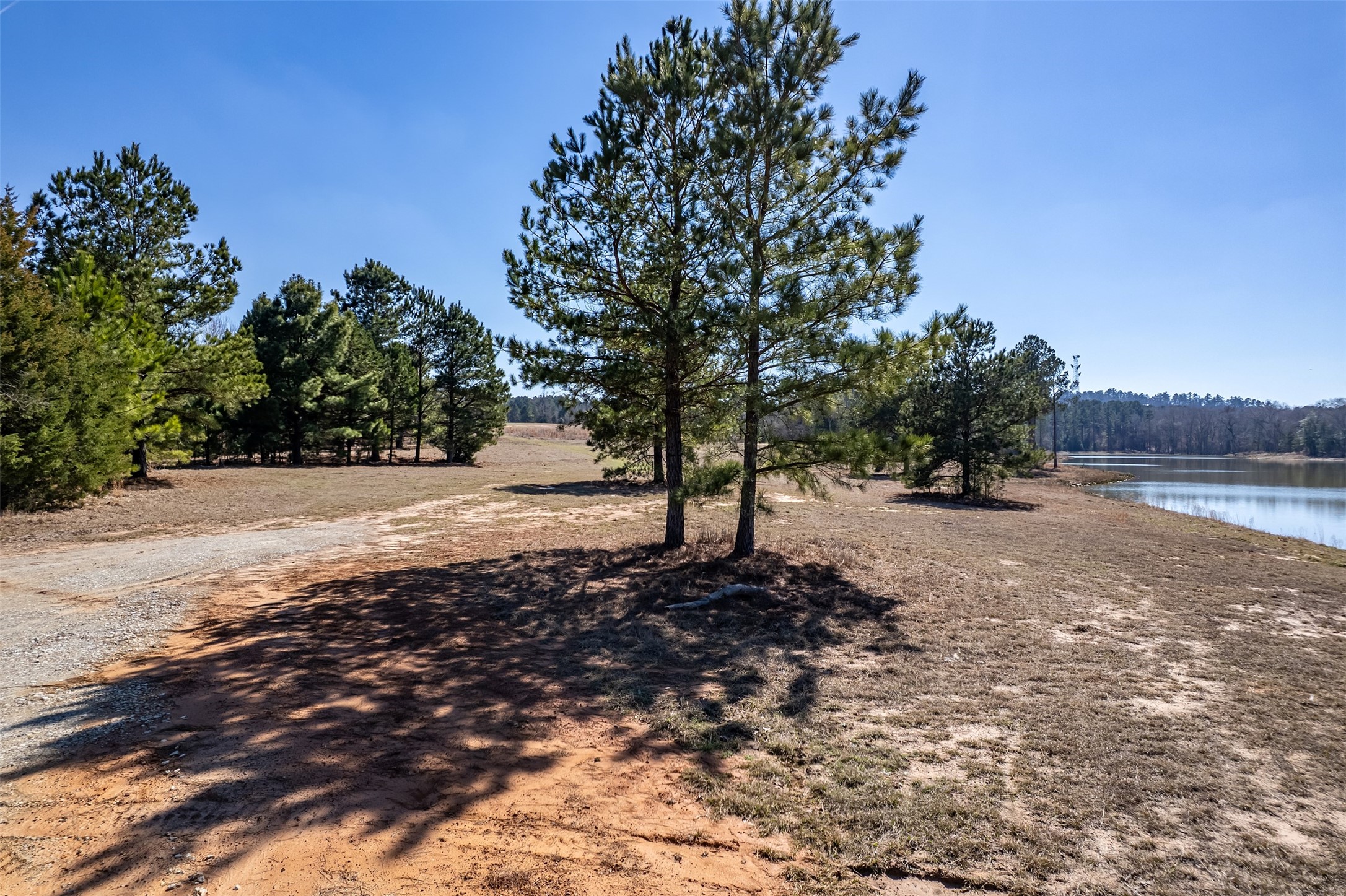 0 Fm 16 Winona TX 75792