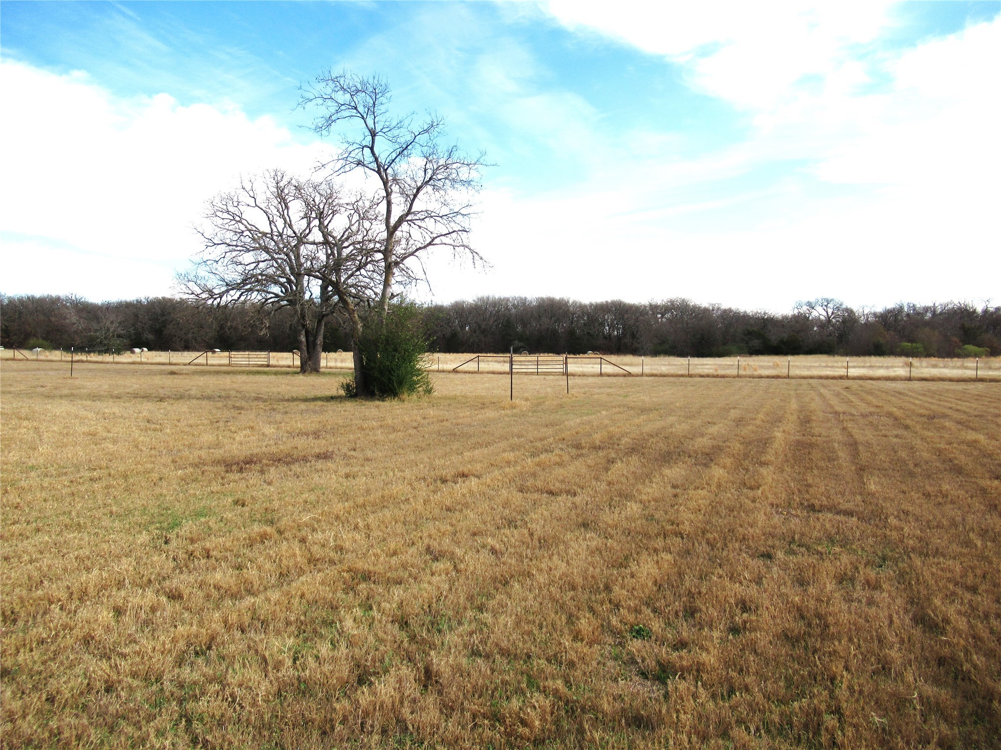 7483 County Road 3223 Lone Oak TX 75453
