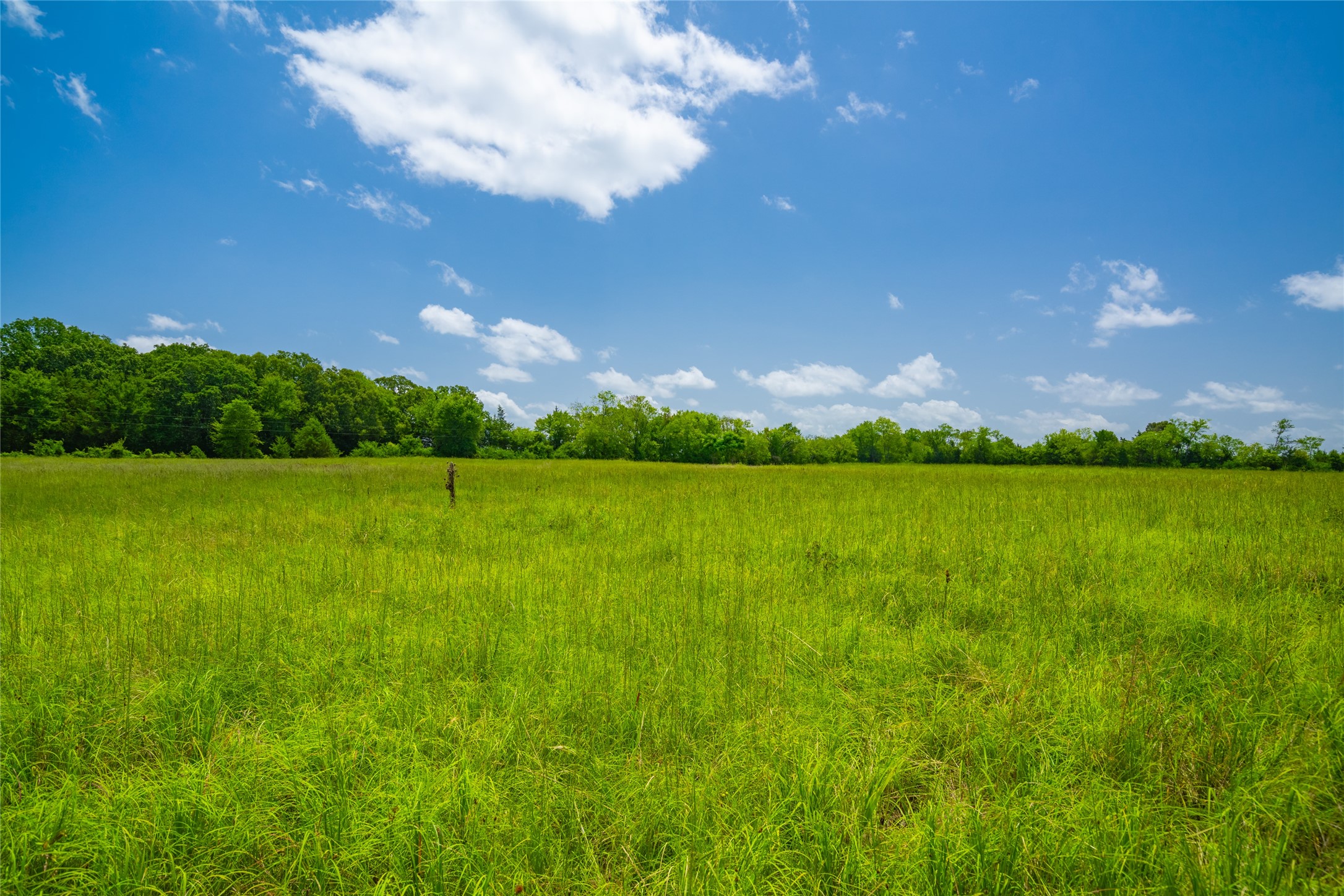 0 County Road 3311 Omaha TX 75571