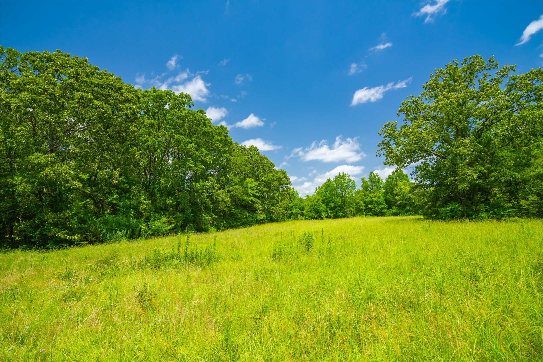 0 County Road 3311 Omaha TX 75571