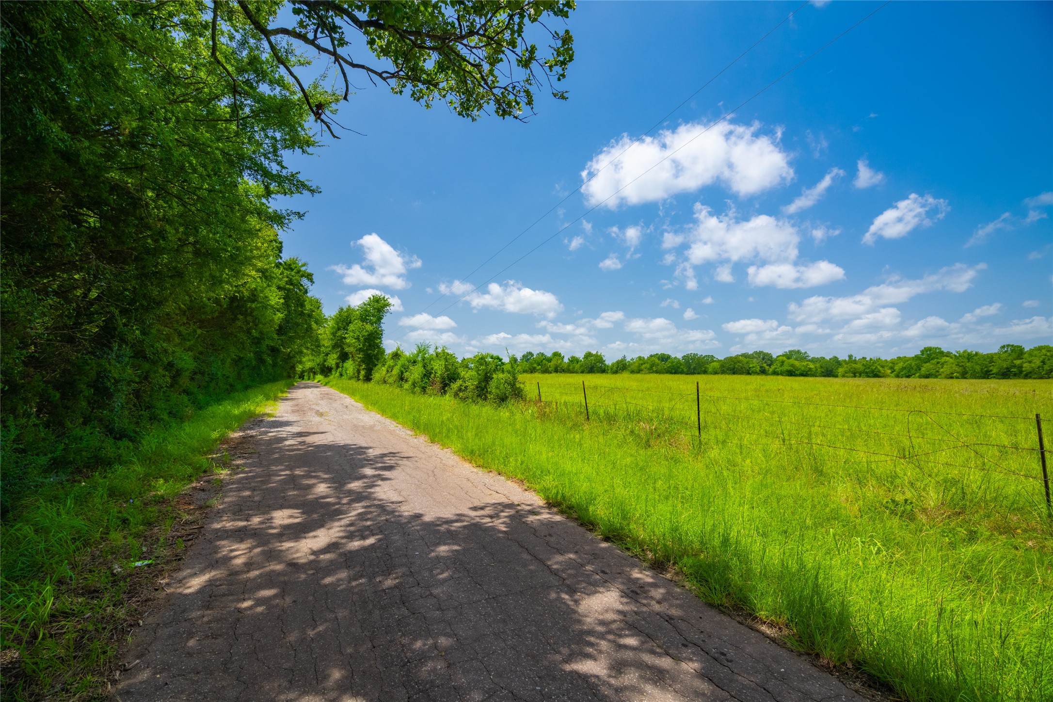 0 County Road 3311 Omaha TX 75571