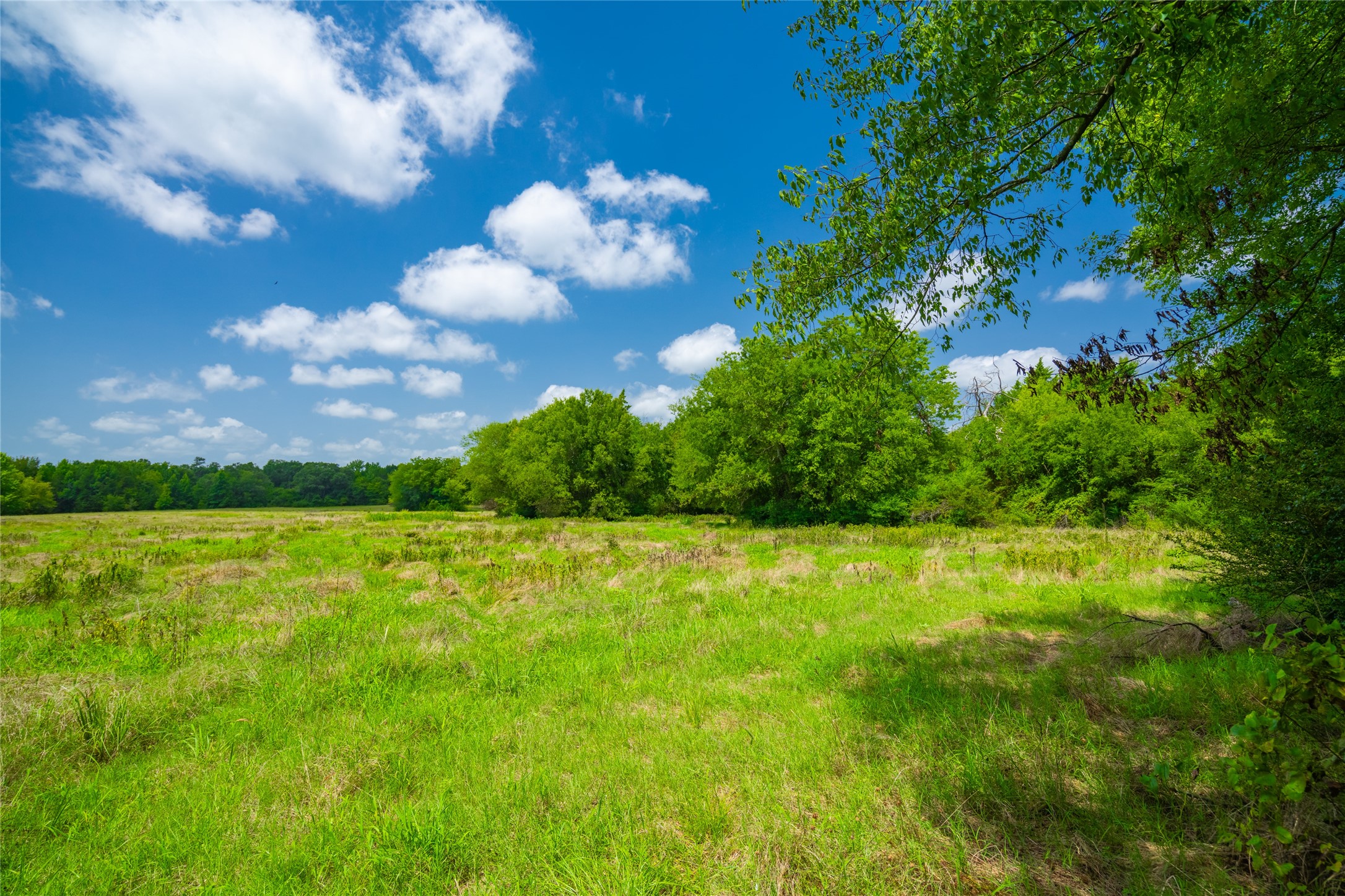 0 County Road 3311 Omaha TX 75571