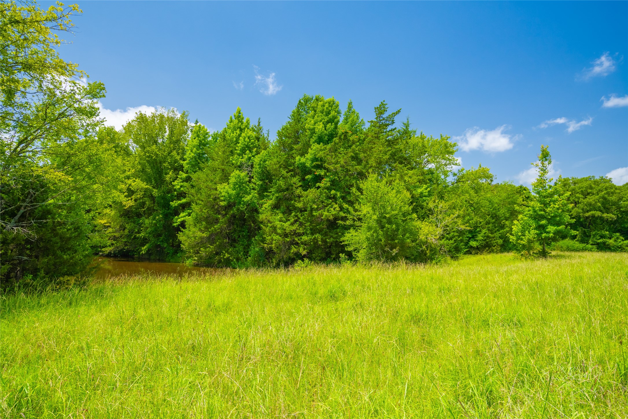 0 County Road 3311 Omaha TX 75571
