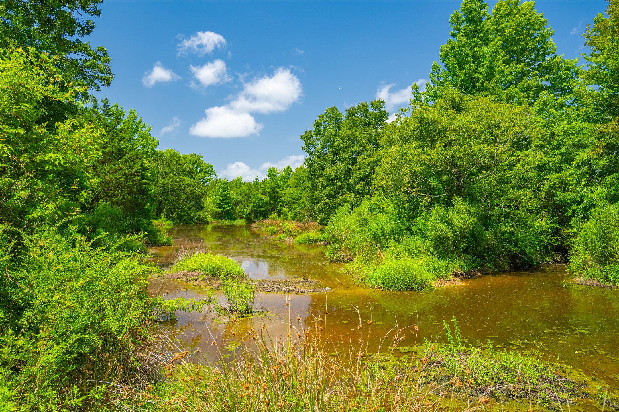 0 County Road 3311 Omaha TX 75571
