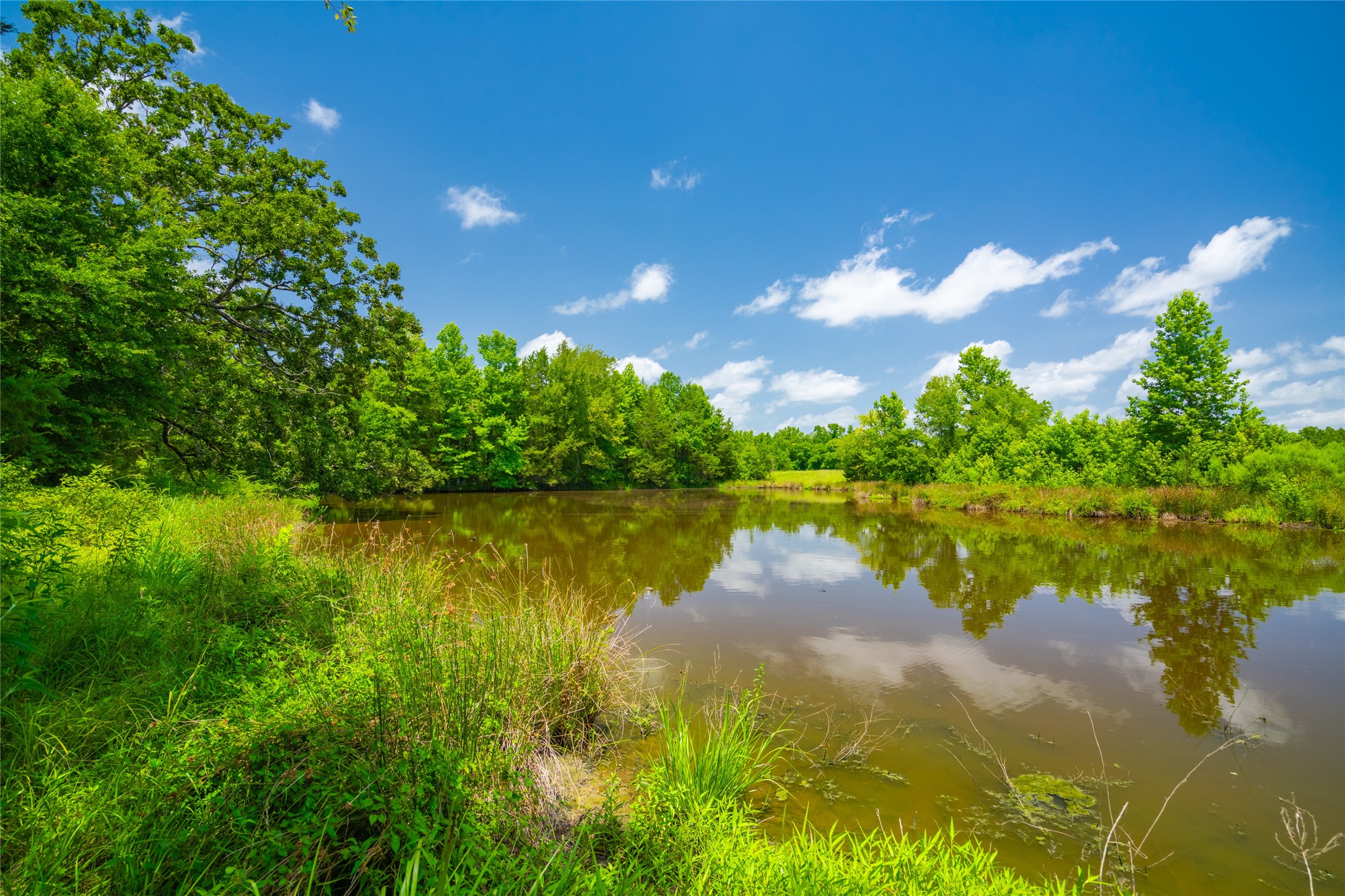 0 County Road 3311 Omaha TX 75571