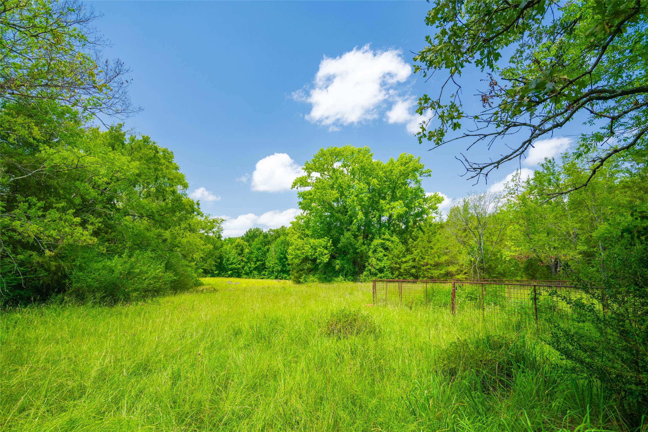 0 County Road 3311 Omaha TX 75571