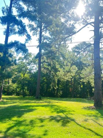 501 Freeman Street Daingerfield TX 75638