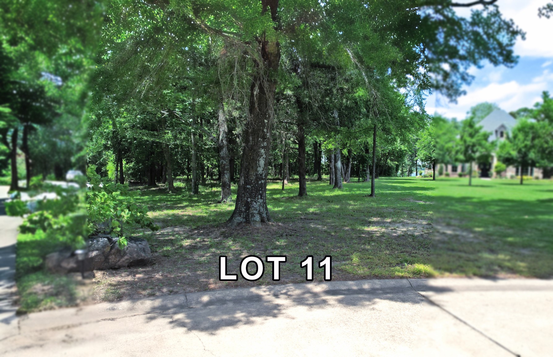 Lot 11 Bois D Yantis TX 75497