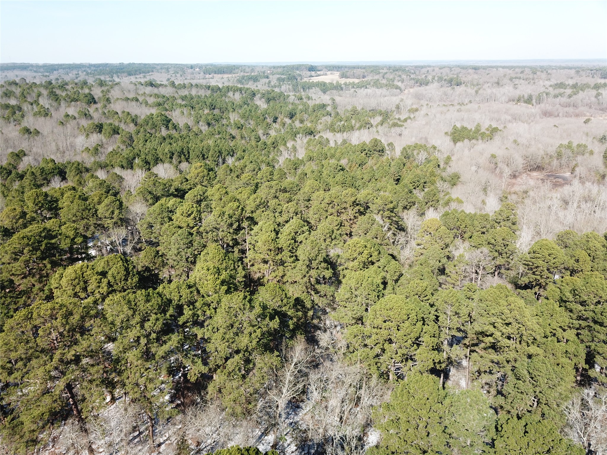 00 County Road 3147 Tyler TX 75706