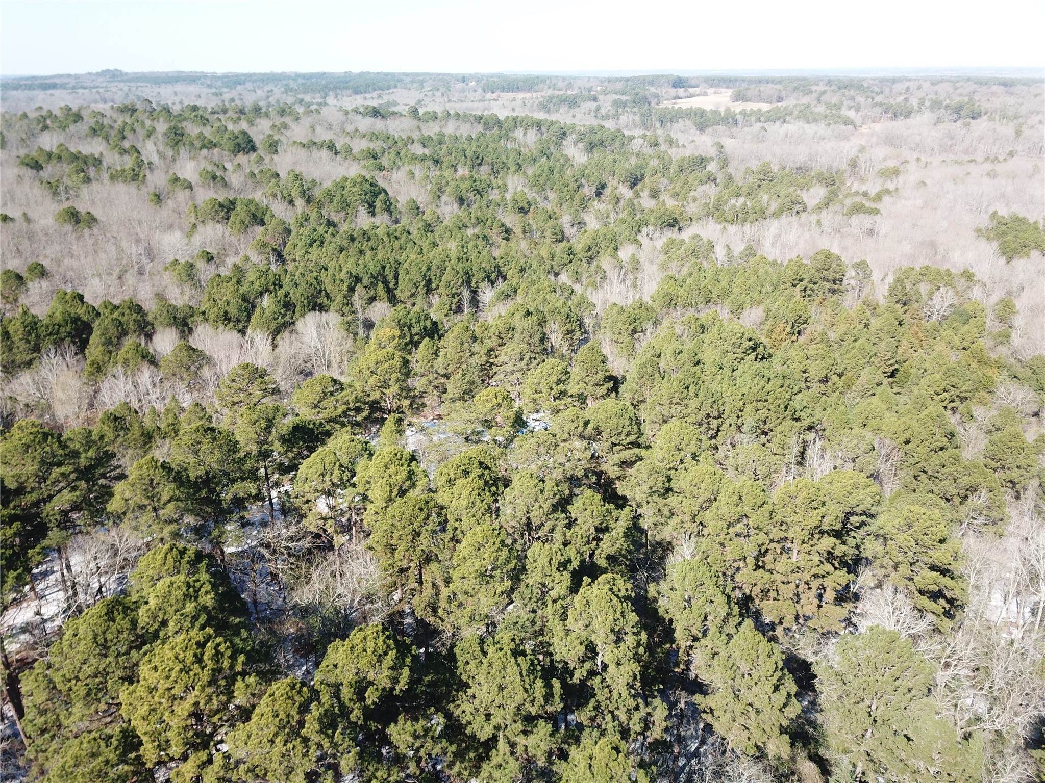 00 County Road 3147 Tyler TX 75706