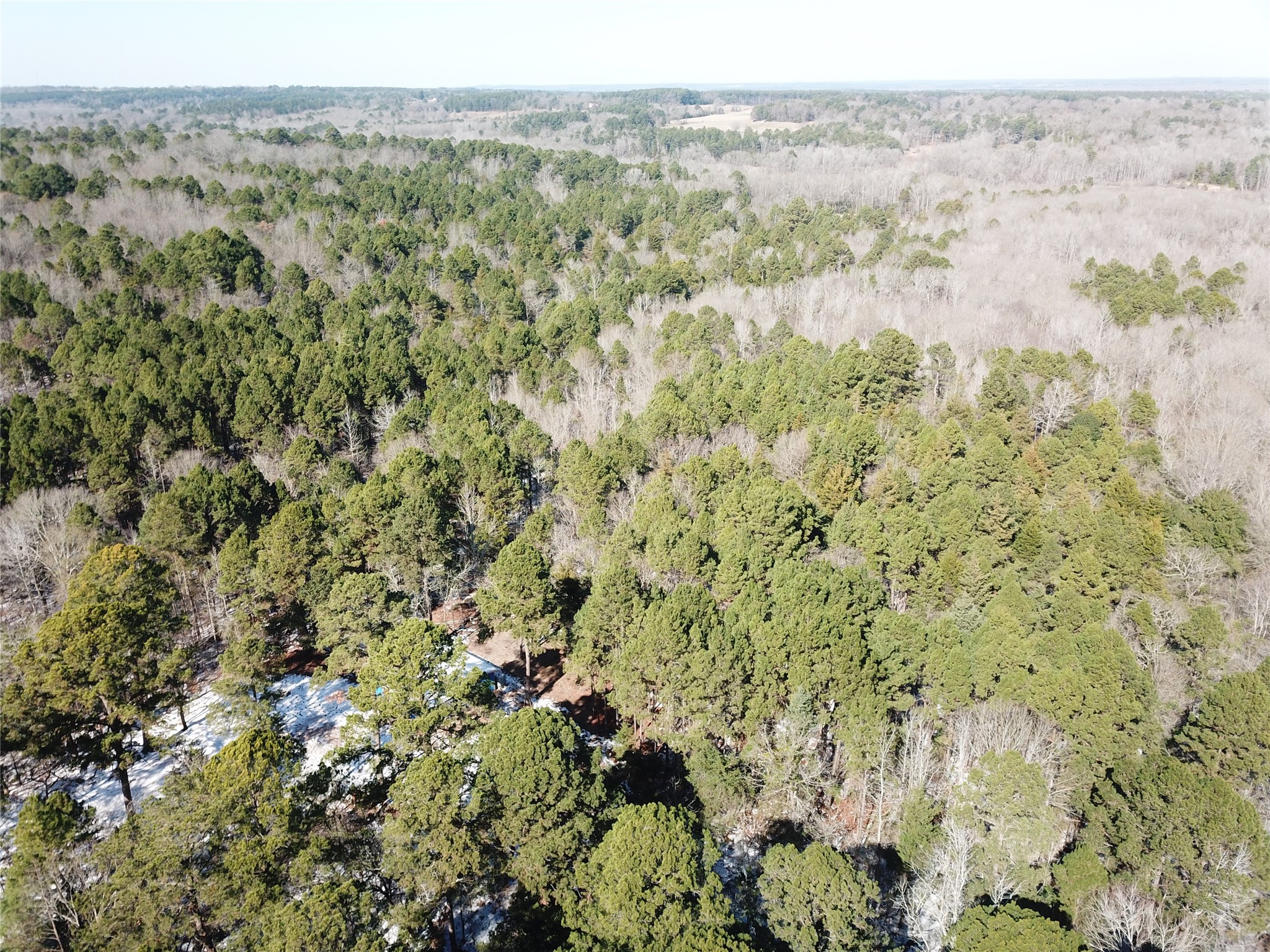 00 County Road 3147 Tyler TX 75706