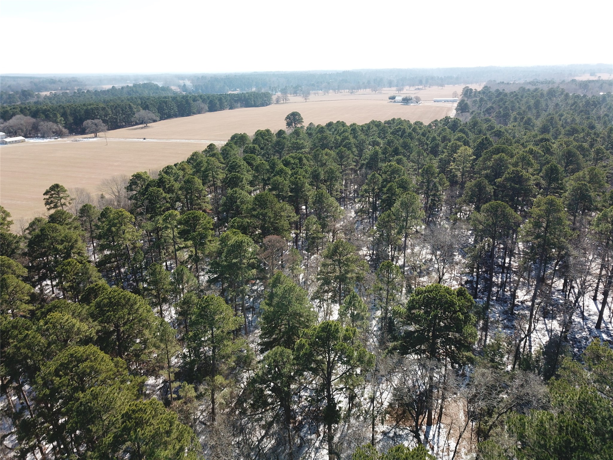 00 County Road 3147 Tyler TX 75706