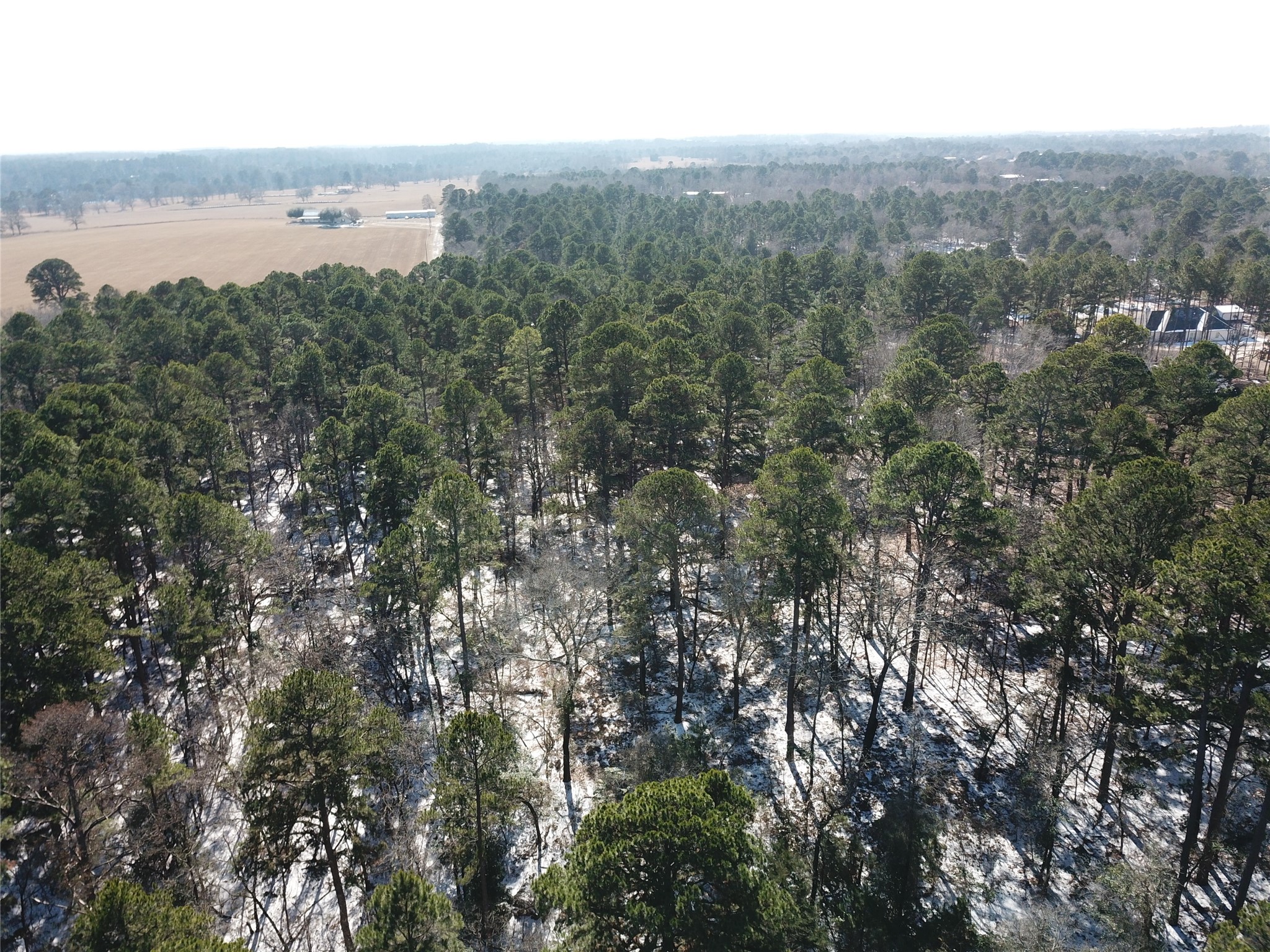 00 County Road 3147 Tyler TX 75706