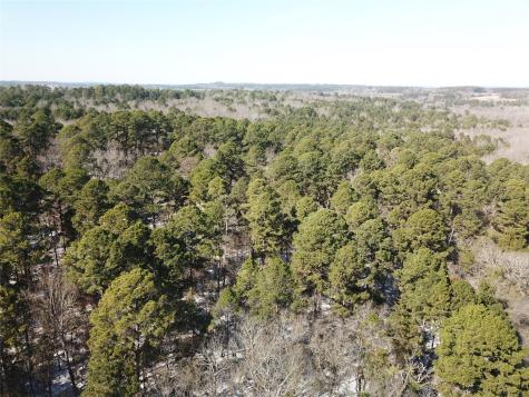 00 County Road 3147 Tyler TX 75706