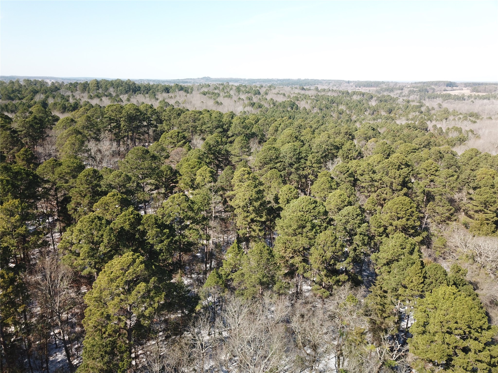 00 County Road 3147 Tyler TX 75706