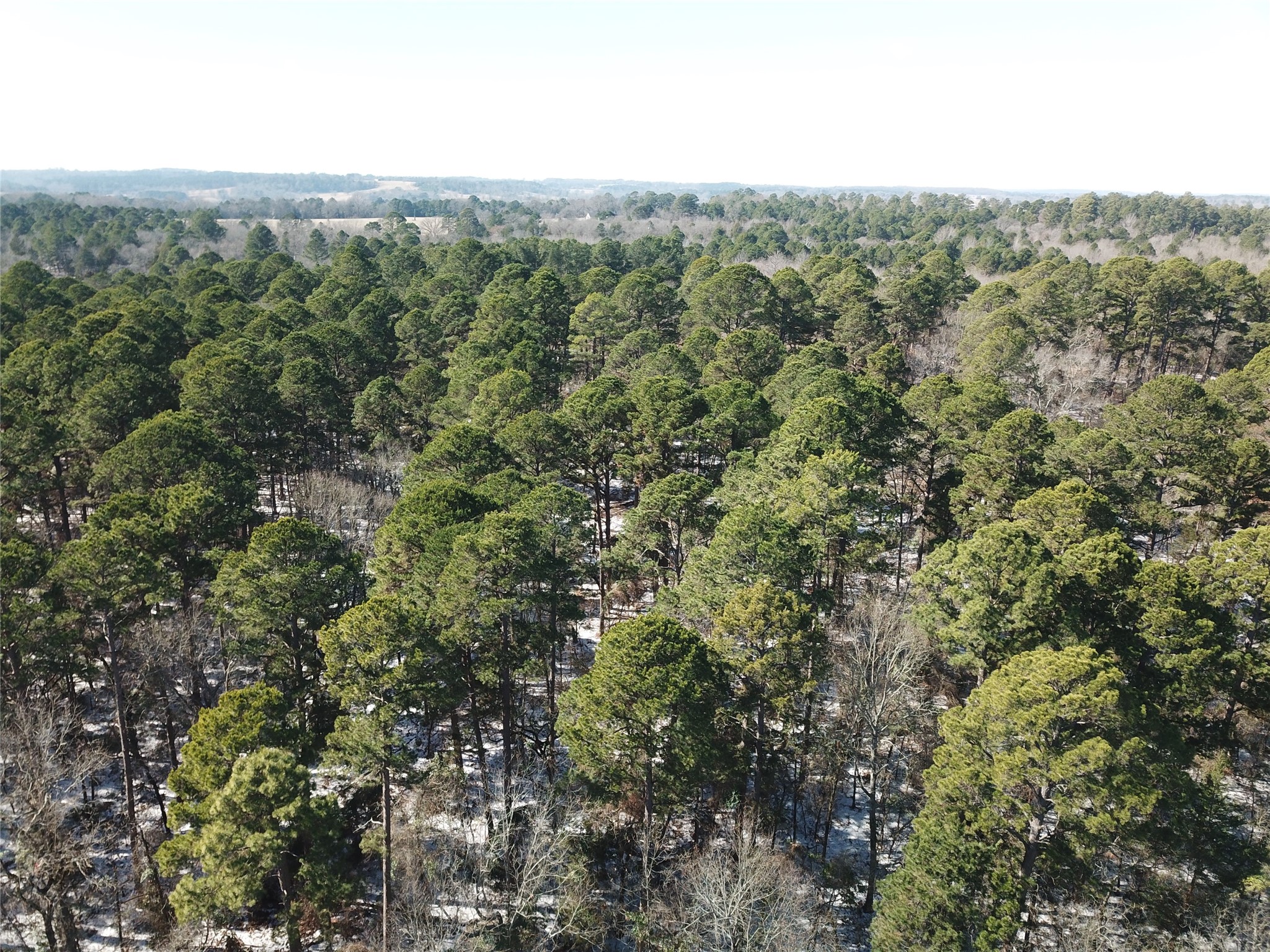 00 County Road 3147 Tyler TX 75706