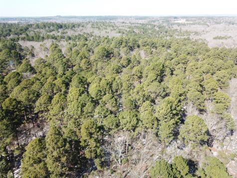 00 County Road 3147 Tyler TX 75706