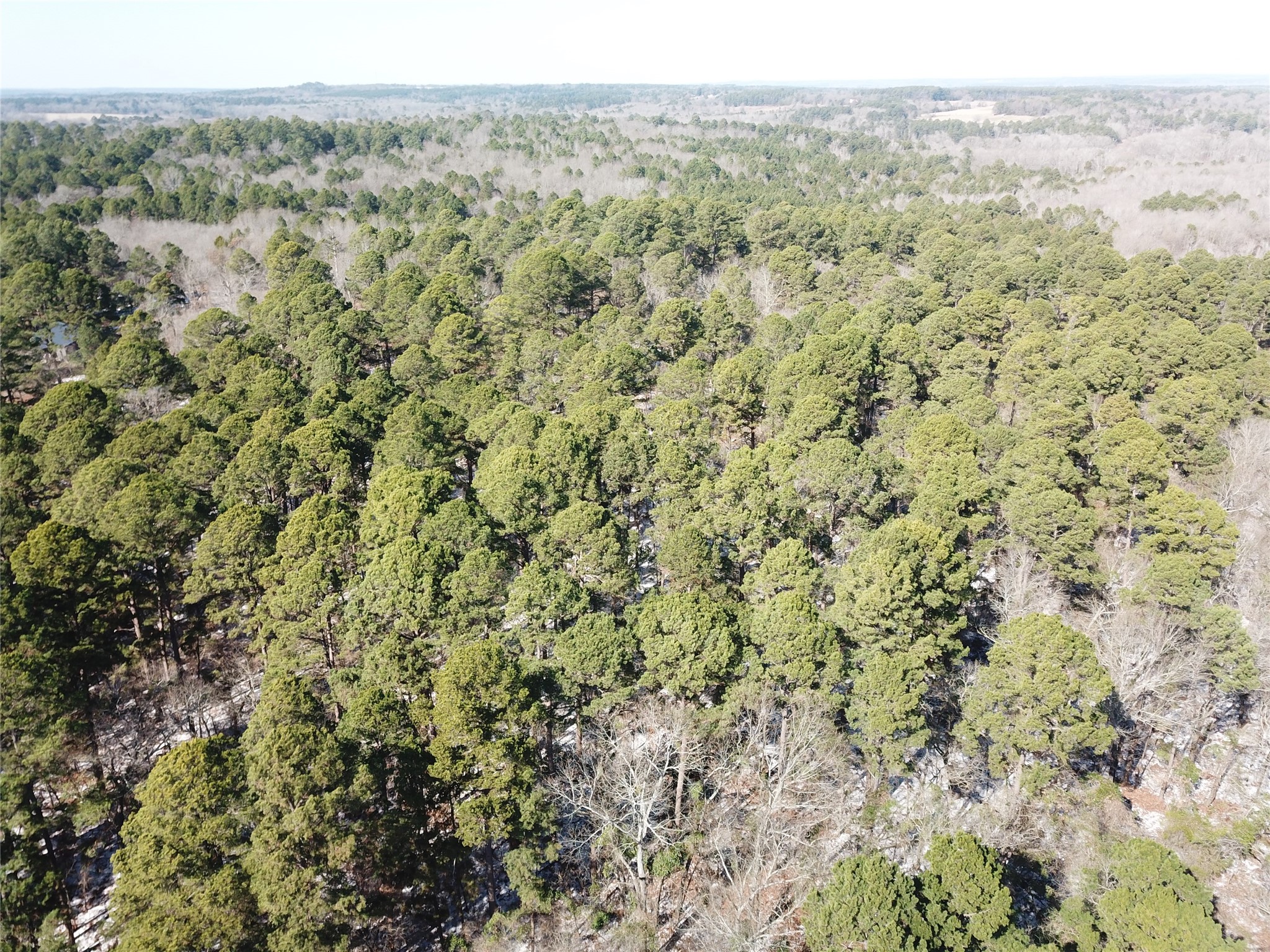 00 County Road 3147 Tyler TX 75706