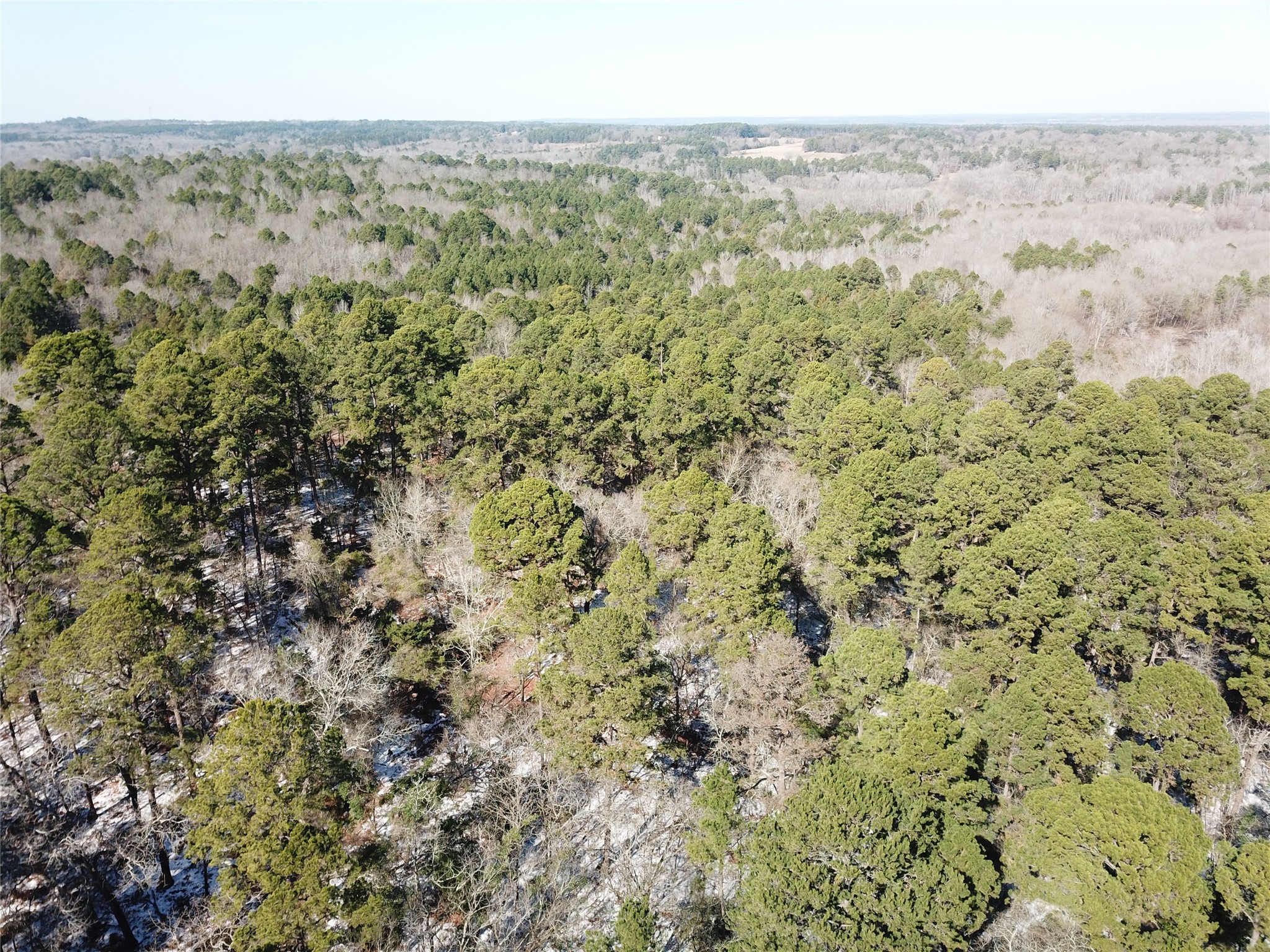 00 County Road 3147 Tyler TX 75706